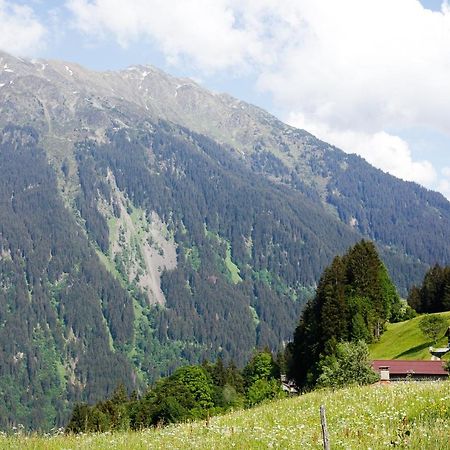 Alpenapart Montafon - Bitschweil Huesle Schruns Eksteriør bilde